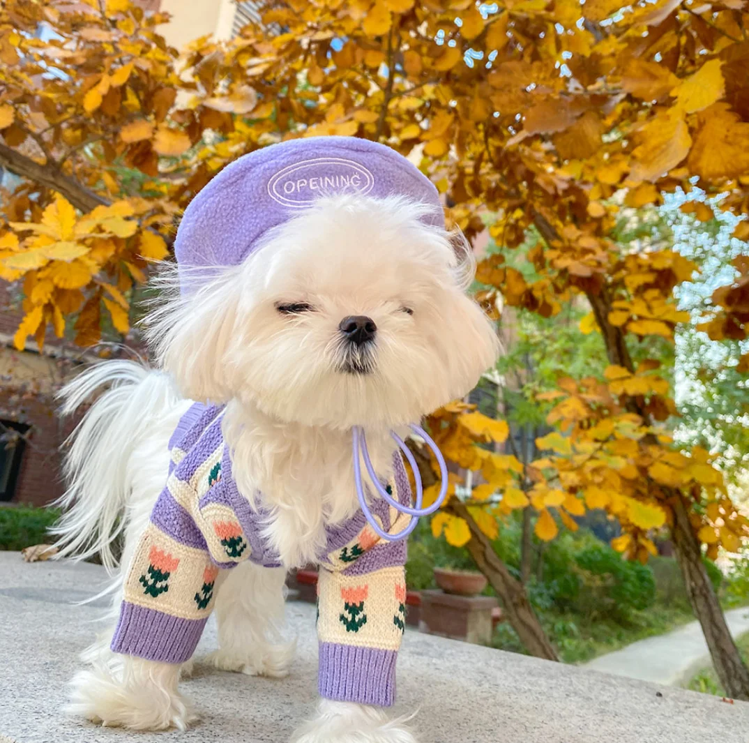 Дрехи за кучета, лилаво цвете есен и зима облекло метод на разтягане Шнауцер Хироми Bichon Плюшено пуловер за домашни любимци жилетка