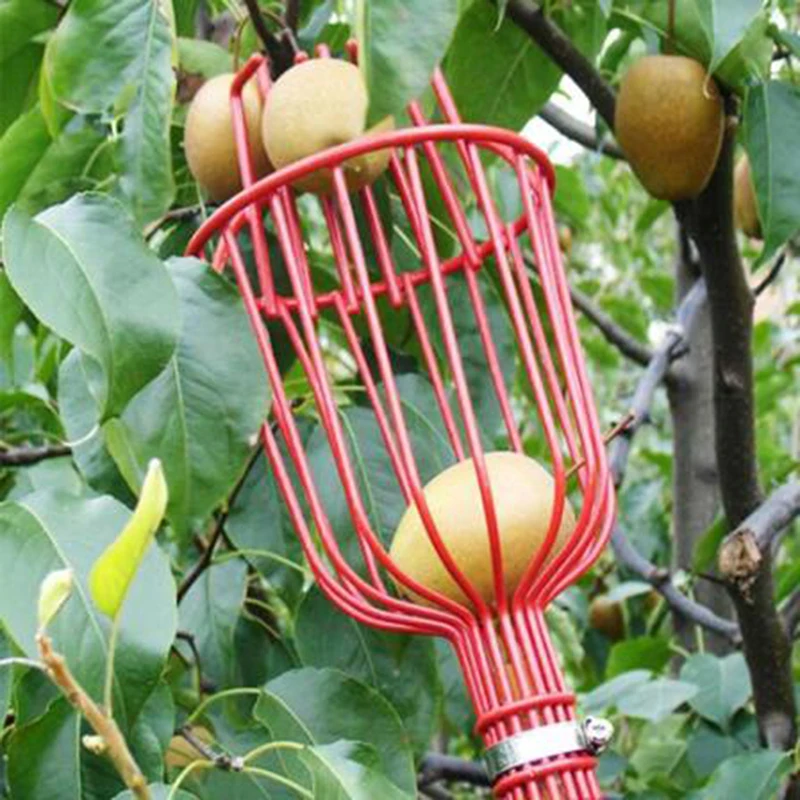 Машина за събиране на плодове Устройство за събиране на събиране на плодове - практичен и удобен градински инструмент за събиране на плодове