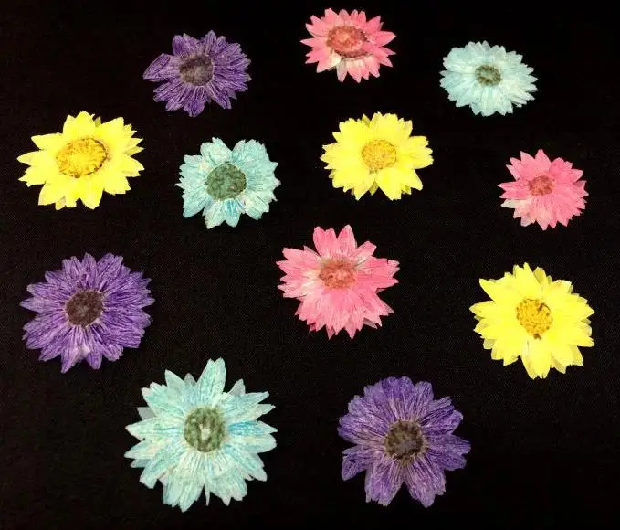 Пресовани Сушени Цветя като Хризантеми Растителен Хербарий За Бижута Картичка Покана карта изработка на свещи